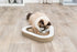 Trixie Krabplank Karton Met 2 Ballen 36X36X5 Cm
