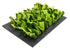 Rosewood Snuffelmat Knaagdier Zwart / Groen 29,5X20 CM