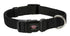 Trixie Halsband Hond Premium Zwart 25-40X1,5 Cm