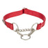 Trixie Halsband Hond Premium Halfslip Halsband Rood 45-70X2,5 Cm