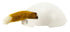 Frolicat Fox Den 19X19X10 CM
