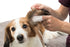 Trixie Ear Care Vingerpads 50 St