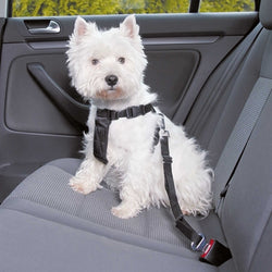 Trixie Hondentuig Auto Inclusief Gordel Zwart 20-50X1,5 Cm