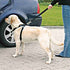 Trixie Hondentuig Auto Inclusief Gordel Zwart 30-60X2 Cm