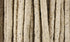 I Am Haringsticks 50 St