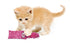 Kong Cat Kickeroo Kitten Assorti 5,5X3X21,5 CM