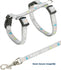 Trixie Kittentuig Junior Met Riem Kitty Cat Assorti 21-33X0,8 Cm / 120 Cm