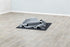 Trixie Cat Activity Adventure Carpet Grijs 99X99 Cm