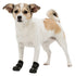 Trixie Pootbescherming Walker Active Zwart Xs-S 2 St