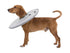 Trixie Beschermkraag Schuimrubber Grijs S 30-34X19,5 Cm