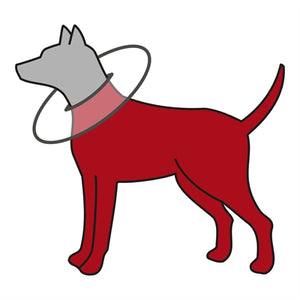 Trixie Beschermkraag Schuimrubber Grijs M 38-42X21,5 CM