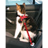 Trixie Kattentuig Voor In De Auto Rood 20-50X1,5 Cm
