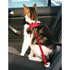 Trixie Kattentuig Voor In De Auto Rood 20-50X1,5 CM