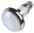 Trixie Reptiland Warmtelamp 100 WATT 8X8X10,8 CM