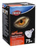 Trixie Reptiland Heatspot Pro Warmtelamp Halogeen 75 Watt 8,1X8,1X10,8 Cm