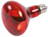 Trixie Reptiland Warmtelamp Infrarood 100 WATT 8X8X10,8 CM