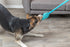 Trixie Bungee Dummy Polyester Petrol 47 Cm