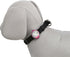Trixie Usb Flasher Assorti 3X3X8 Cm