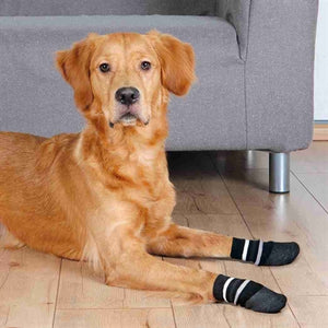Trixie Hondensokken Anti-Slip Met Rubberlaag Rondom Zwart L-Xl 2 St
