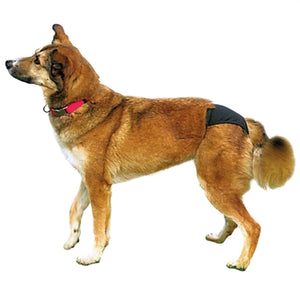 Trixie Loopsheidbroekje Zwart L 50-59 Cm