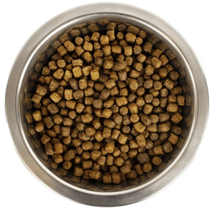 Yourdog Koningspoedel Pup 12 Kg