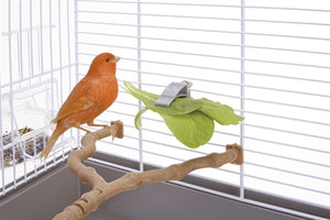 Imac Fruit / Groente Klem 5,5X3X1 CM