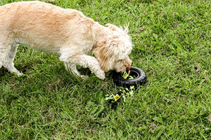 Happy Pet Grrrelli Tyre Tugger Zwart / Groen 26X9,5X4 CM