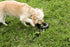 Happy Pet Grrrelli Tyre Tugger Zwart / Groen 26X9,5X4 CM