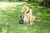 Happy Pet Grrrelli Tyre Tugger Zwart / Groen 36X14X4 CM