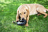 Happy Pet Grrrelli Tyre Tugger Zwart / Groen 36X14X4 CM
