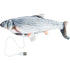 Trixie Kattentuig Mesh Y-Vorm Met Elastische Riem Assorti 36-60X100 Cm