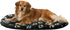 Trixie Hondenkussen Jimmy Ovaal Zwart Met Pootprint 64X41 CM