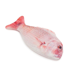 Jolly Moggy Natural Catnip Red Snapper 21 CM
