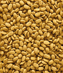 Nutribird P15 Original Onderhoudsvoeder 1KG