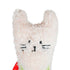 Rosewood Little Nippers Kitty Crunch 18 CM