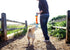 Chuckit Rugged Bumper Large 24,5X7X8 Cm