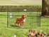 Savic Puppyren Dog Park Zwart 2 61X91 CM