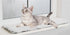 Trixie Ligmat Harvey Voor Vensterbank Wit-Zwart 90X28X1,5 Cm