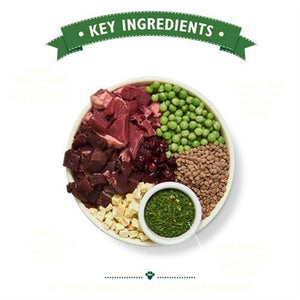 Lily's Kitchen Dog Adult Lamb Shepherd's Pie 1 KG