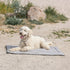 Trixie Reisdeken Samoa Classic Beige / Olijfgroen 85X70 Cm