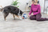 Trixie Dog Activity Strategiespel Ball&Treat Lichtgrijs / Blauw 17X17X18 Cm