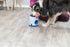Trixie Dog Activity Strategiespel Ball&Treat Wit / Blauw 17X17X18 CM