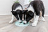 Trixie Junior Likplaat Mintgroen 21X21 Cm