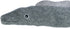 Trixie Be Nordic Aal Karl Pluche / Touw Grijs 75 Cm