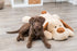 Trixie Knuffel Hondbenny Pluche Beige / Bruin 75 Cm
