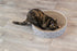 Trixie Krabmand Lilly Karton Catnip Assorti 45X45X10 Cm