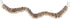 Trixie Hangbrug Wilg Naturel 61X8 Cm