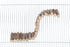 Trixie Hangbrug Met Schroefbevestiging Schorshout Naturel Voor Muizen 30 CM 7 CM