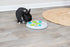 Trixie Slide&Funboard Kunststof 23X23 Cm