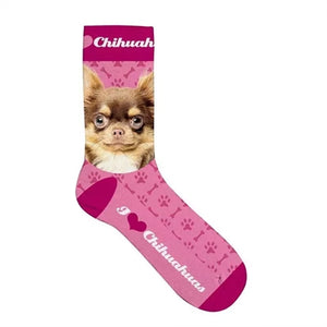Plenty Gifts Sokken Chihuahua Roze 33-38